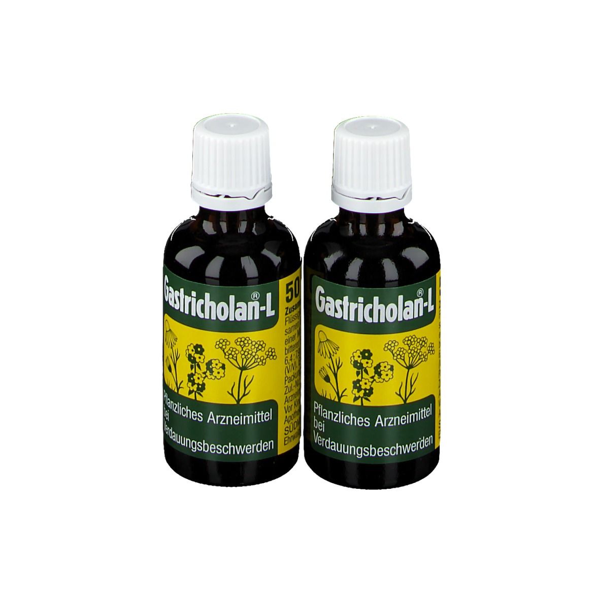 Gastricholan L flüssig