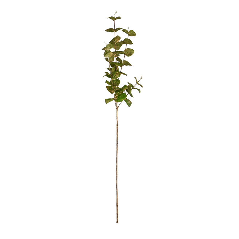 Eucalyptus glitter - diverse kleuren - 75 cm