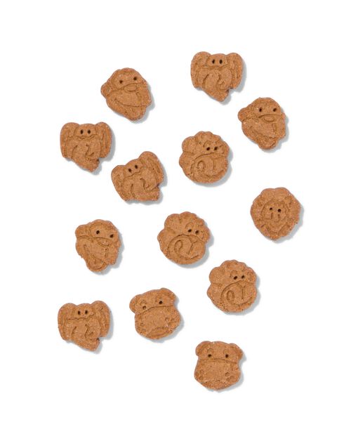 6 spéculoos safari