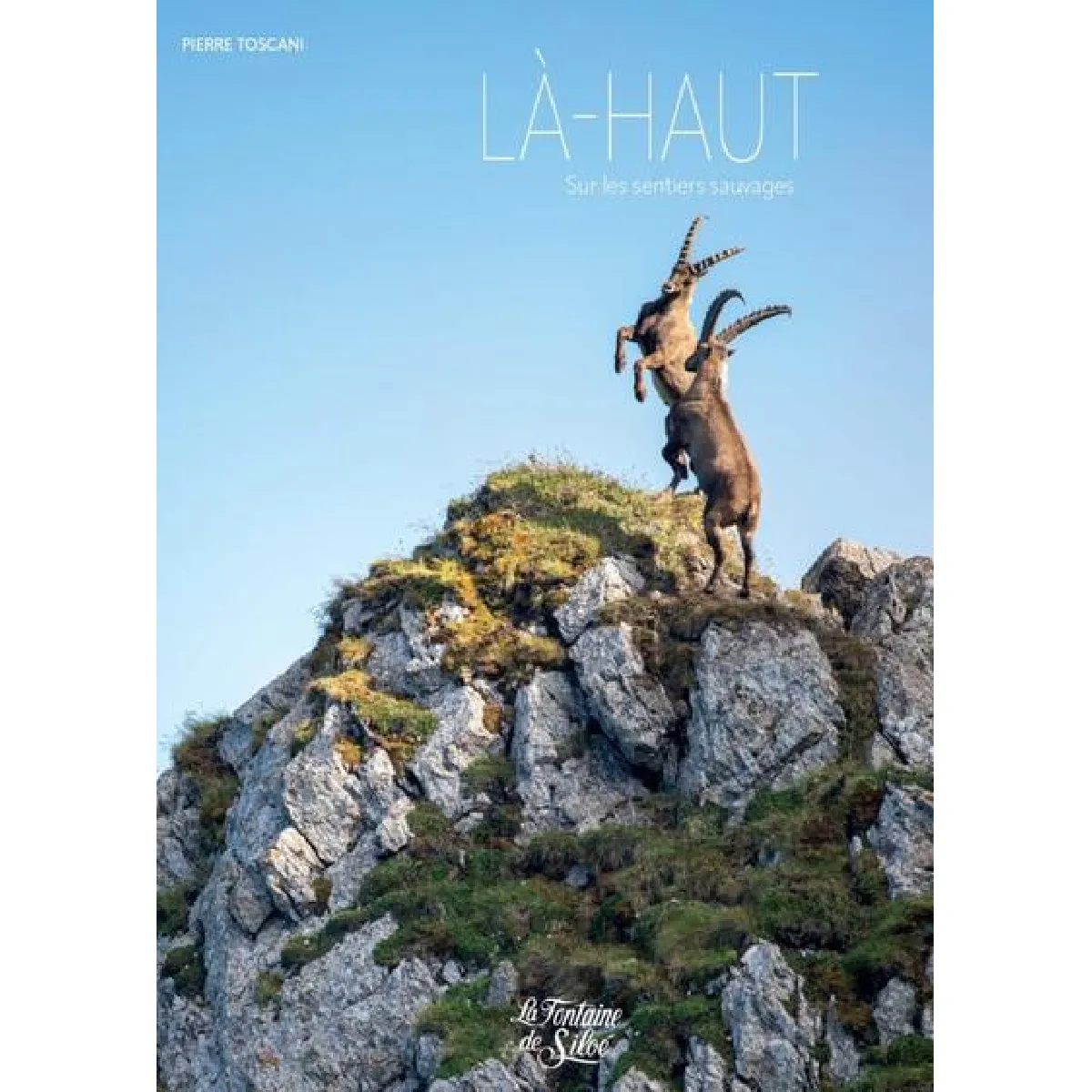 Là-haut : sur les sentiers sauvages · Occasion