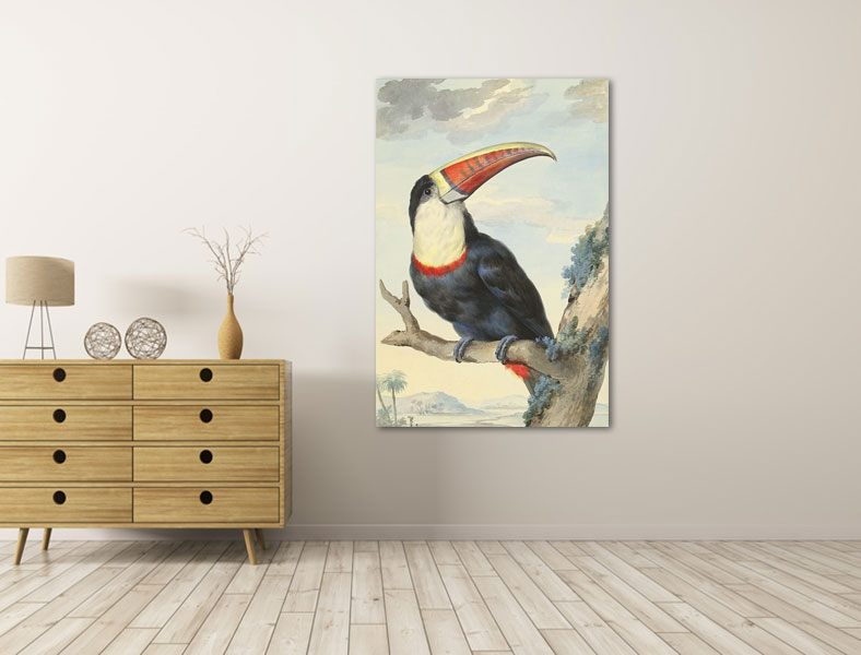 Canvas schilderij Roodsnavel Toekan 40 x 60 cm