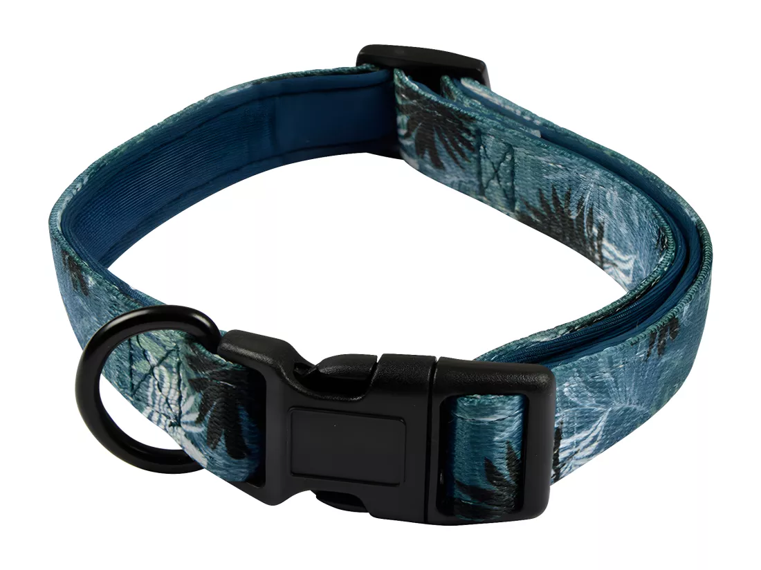 Collier pour Chien Réglable 