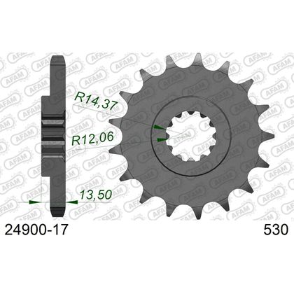 Kit chaine AFAM 530 Type Acier Premium