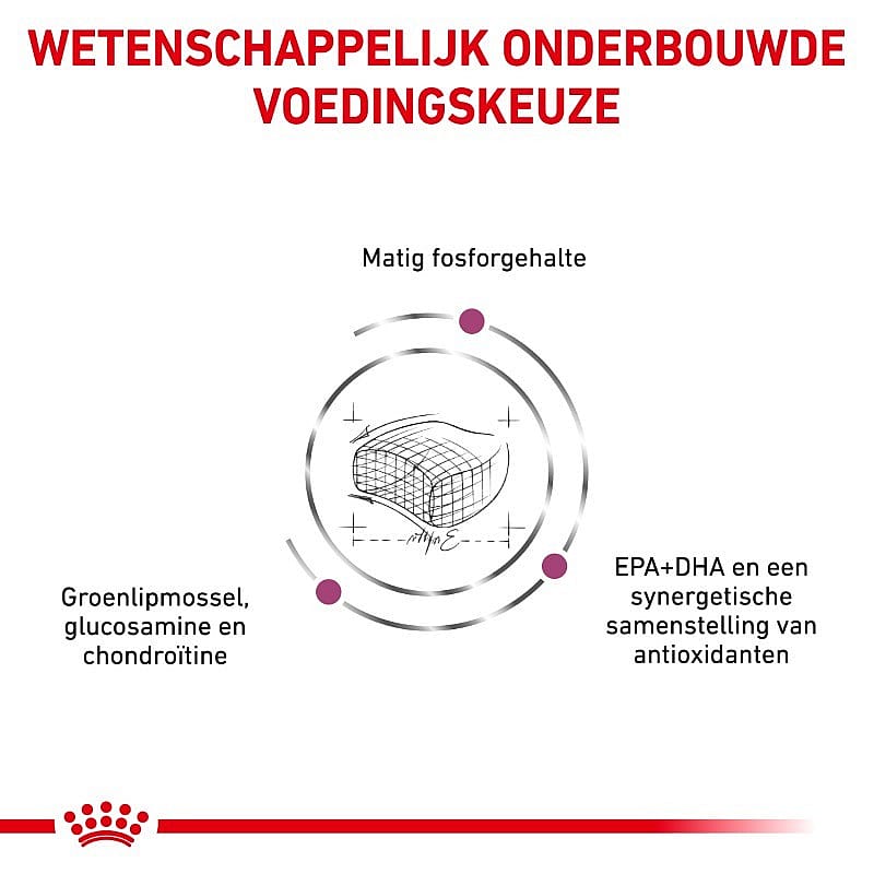 Royal Canin Early Renal Kat - Dieetvoeding ter ondersteuning van de nierfunctie van katten