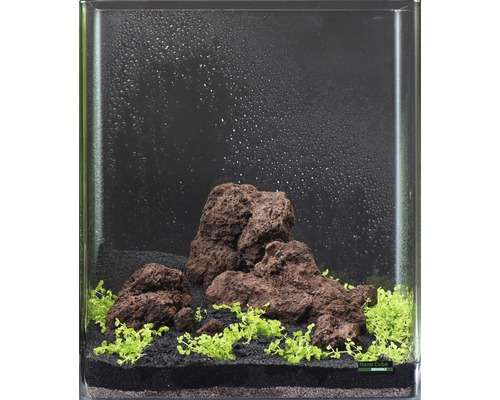Aquarium waterplantenpakket XS 