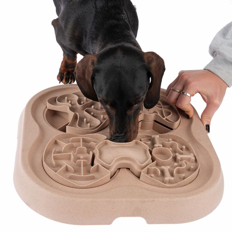 Jeu d'intelligence TIAKI Slow Feed Puzzle
