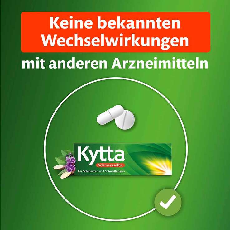 Kytta Schmerzsalbe, 100 g