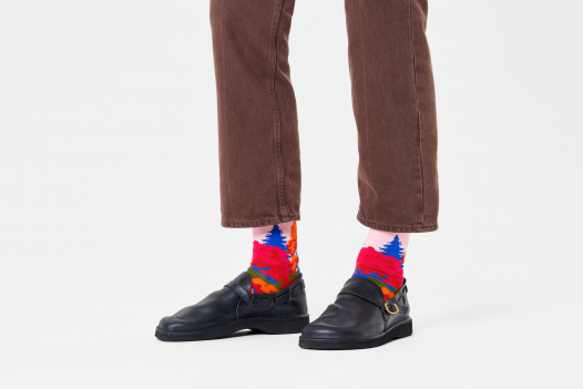 Happy Socks Autumn Sock Socken in Mehrfarbig