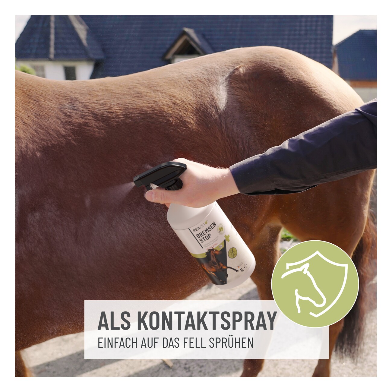 REAVET Bremsen Stop Spray 1L