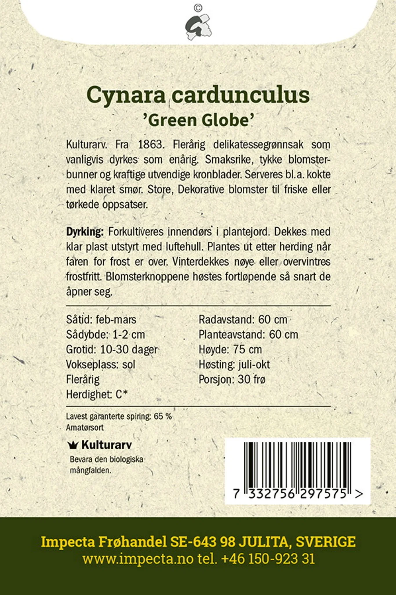 Cynara cardunculus 'Green Globe' Artisjokk 'Green Globe'