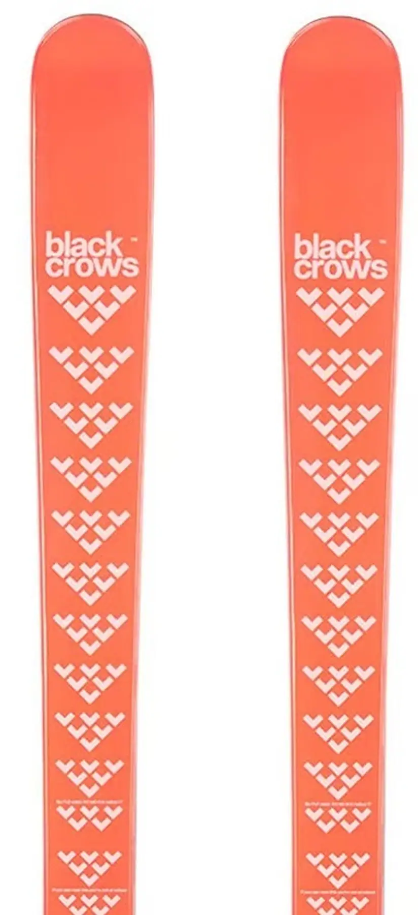 Black Crows Camox Birdie Juniorski | SkatePro