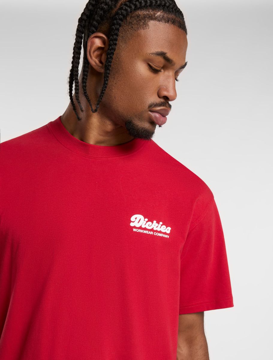 Dickies Lewistown SS Tee Egret