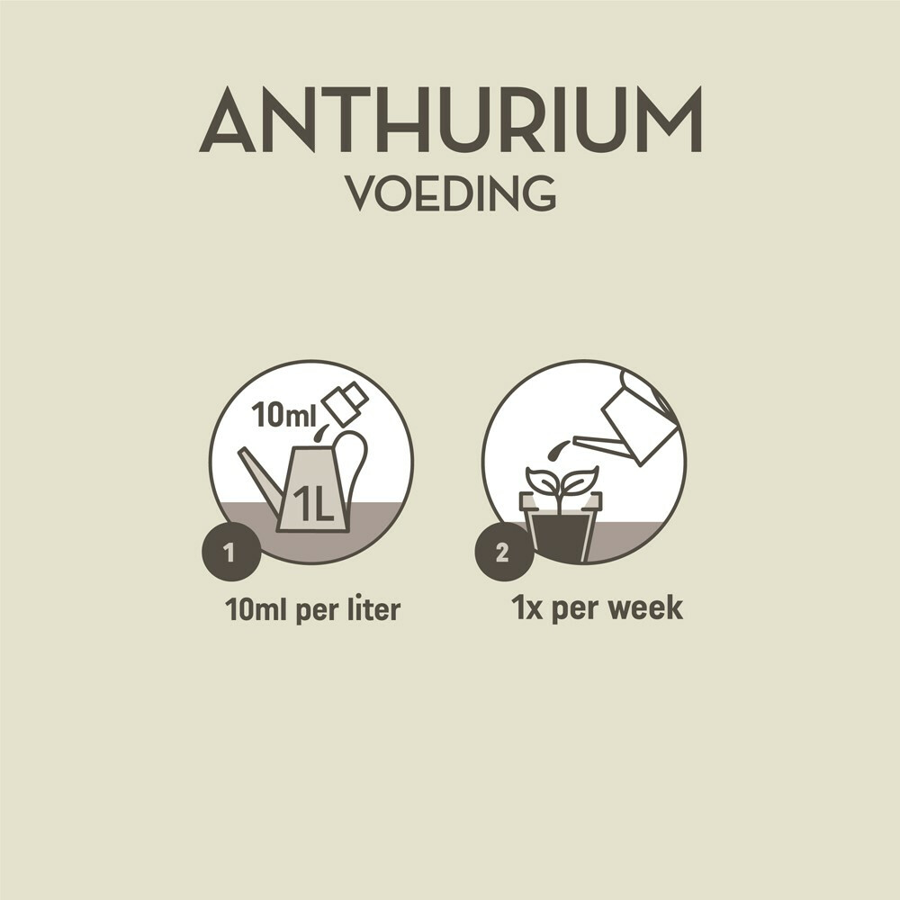 Pokon Planten Voeding Anthurium500 ml
