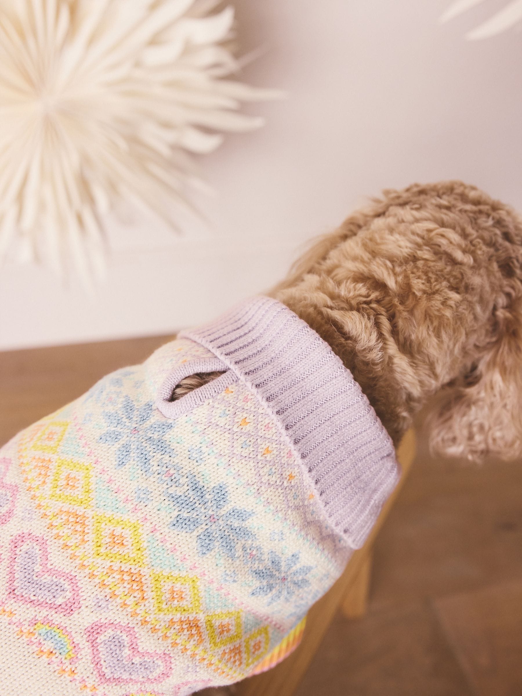 Pastelkleurige regenboogprint - Little Bird by Jools Oliver gebreide trui met dieren