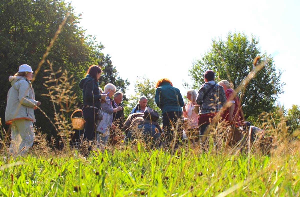 Heilkräuter Kurs Jüchen