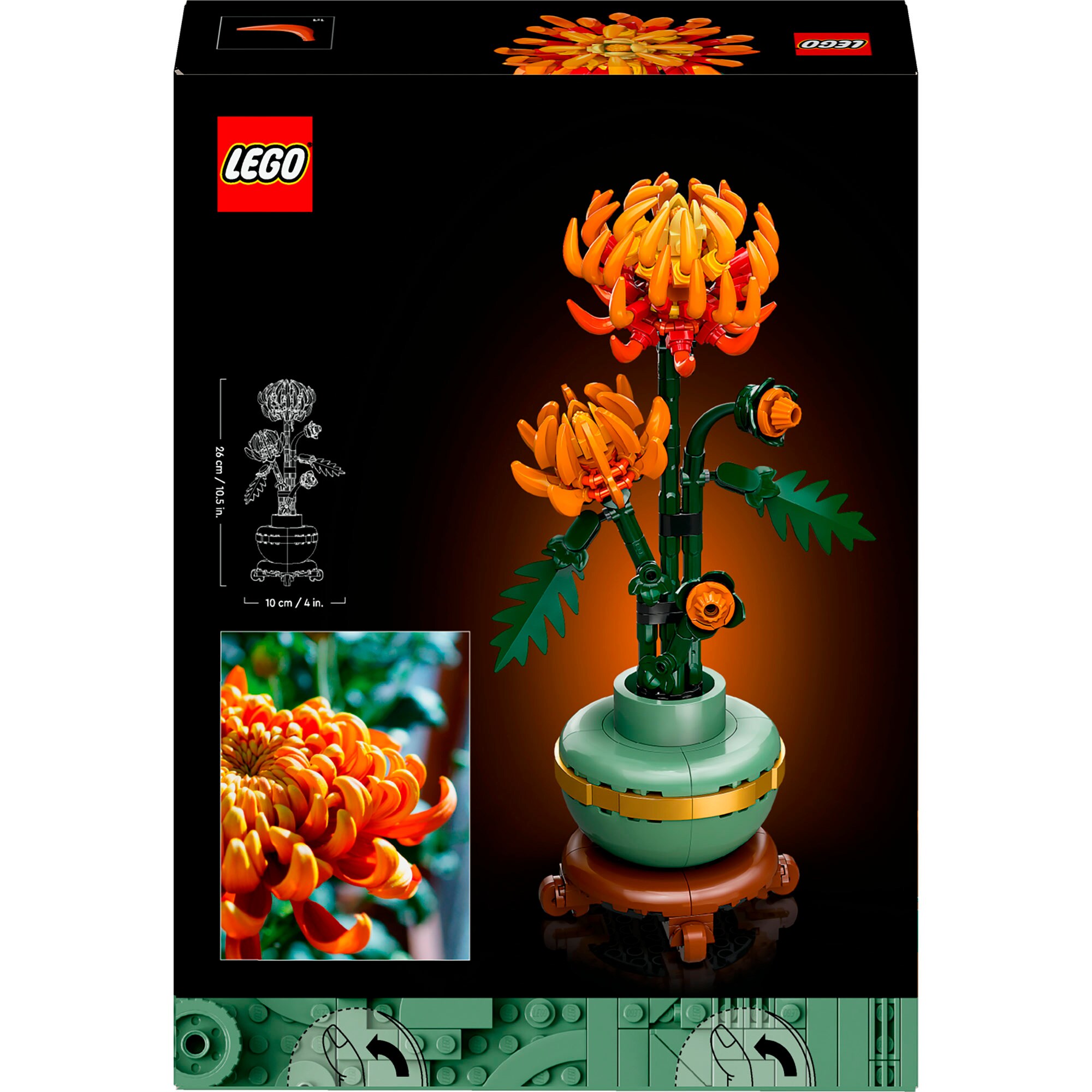LEGO Konstruktionsspielzeug Icons Chrysantheme
