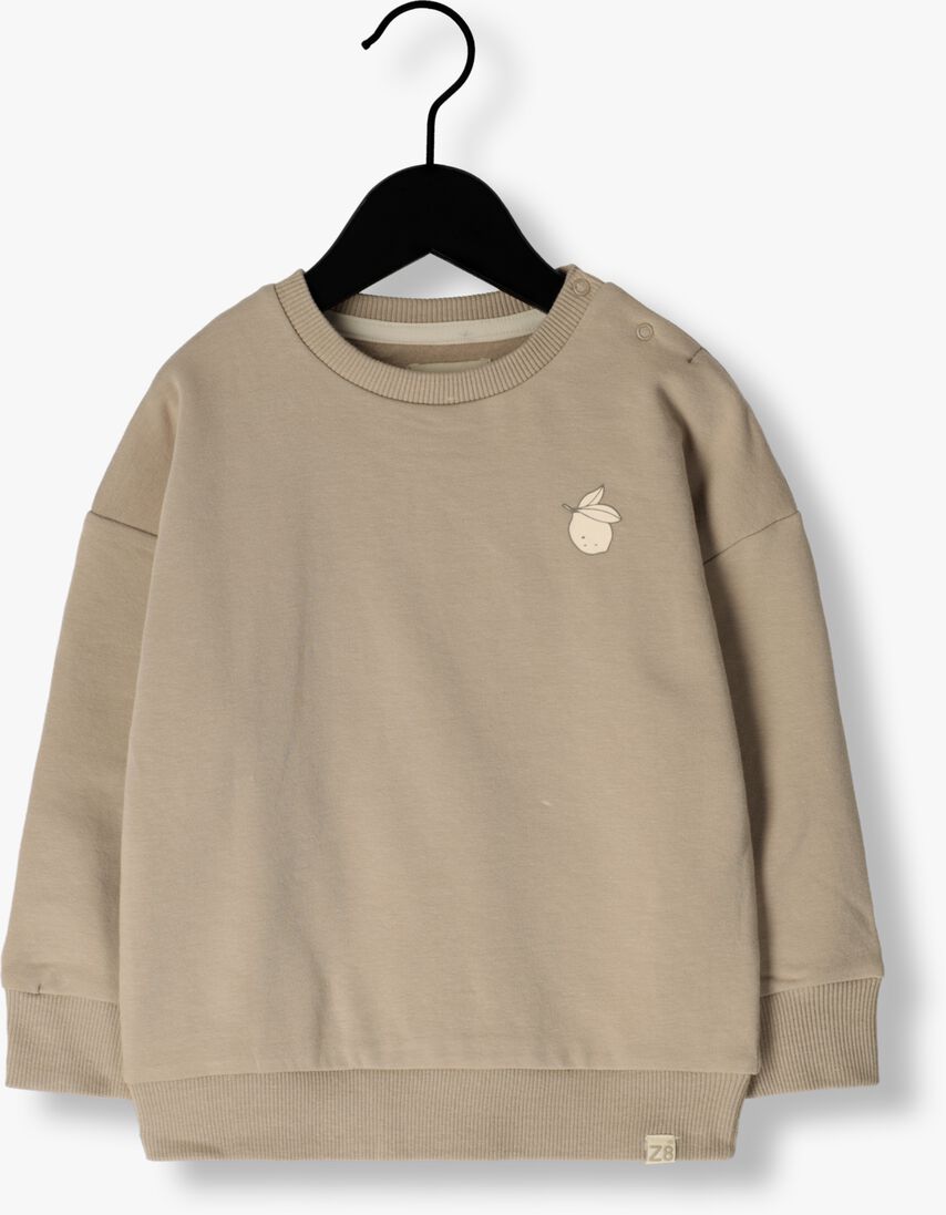 Z8 zand z8 sweater gillermo