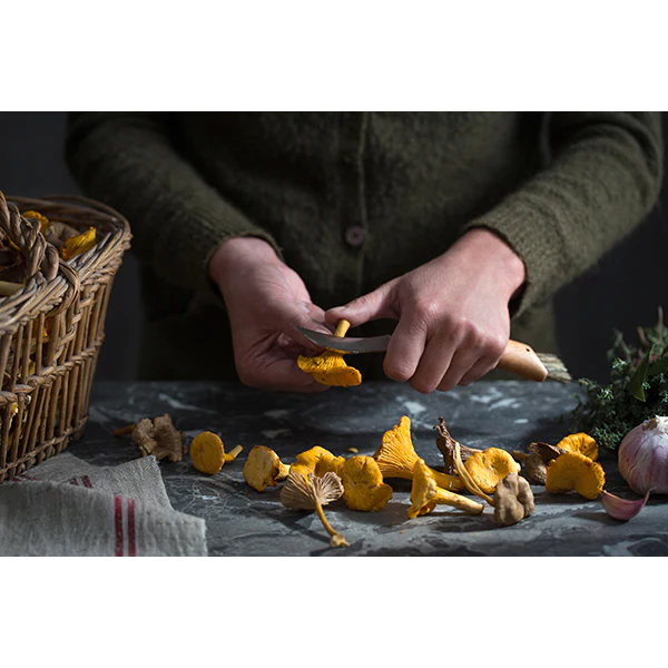 Couteau à champignons pliant N°8 lame inox 8 cm Opinel