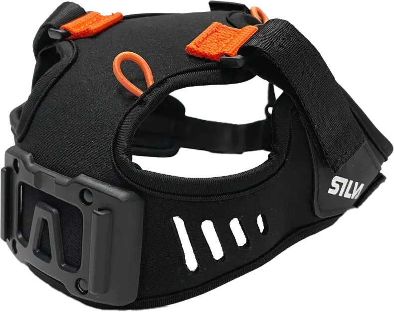 Silva Ignite