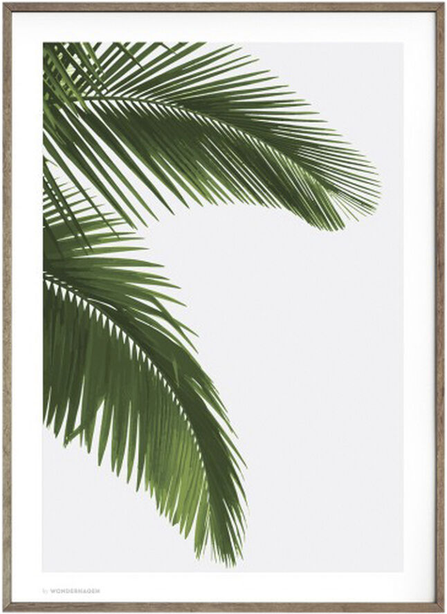 Poster & Frame Wonderhagen - Palm plakat Grøn