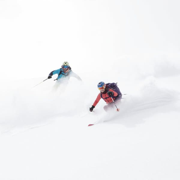 Ski ELAN RIPSTICK 94 W