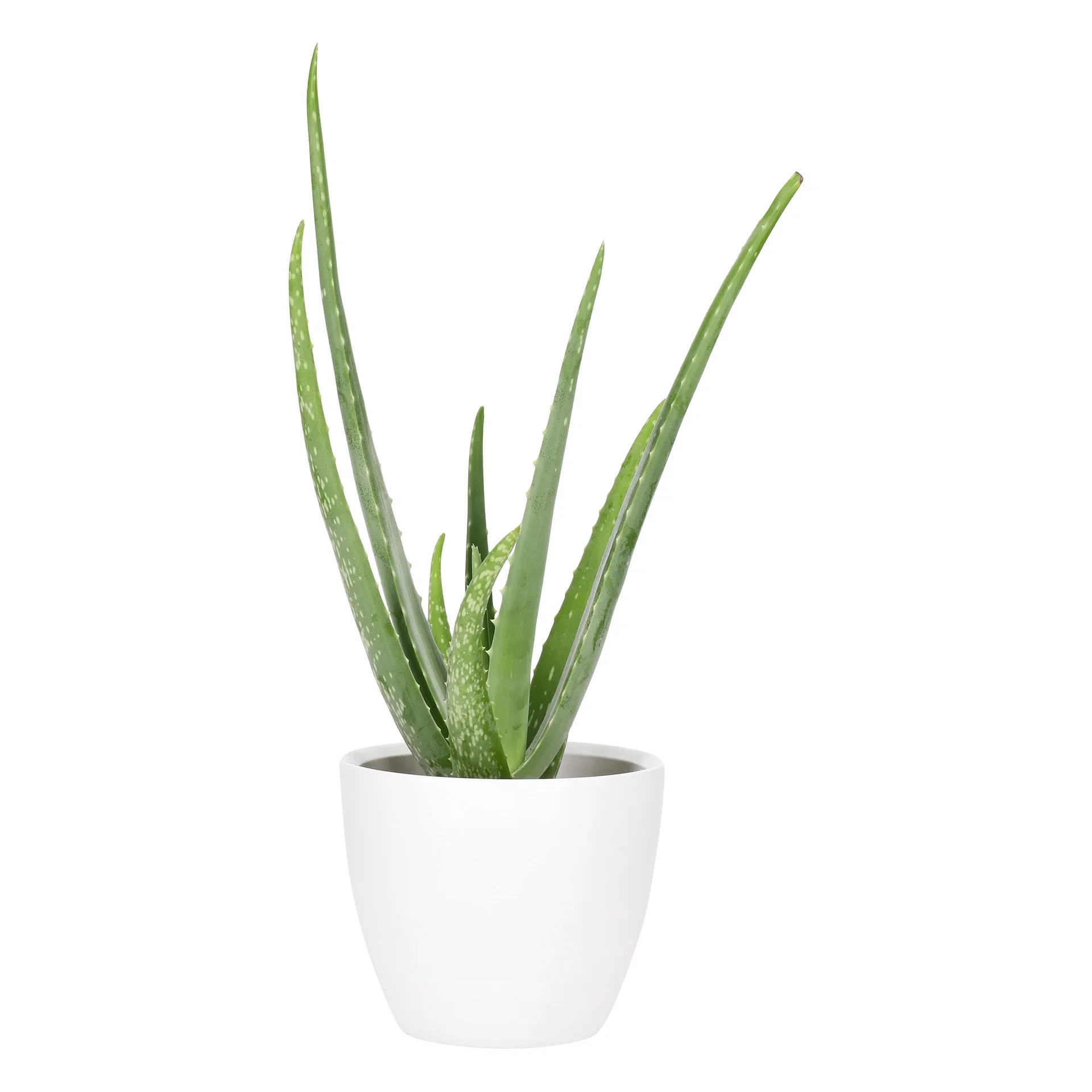 Potte Fia Ø17,5 cm