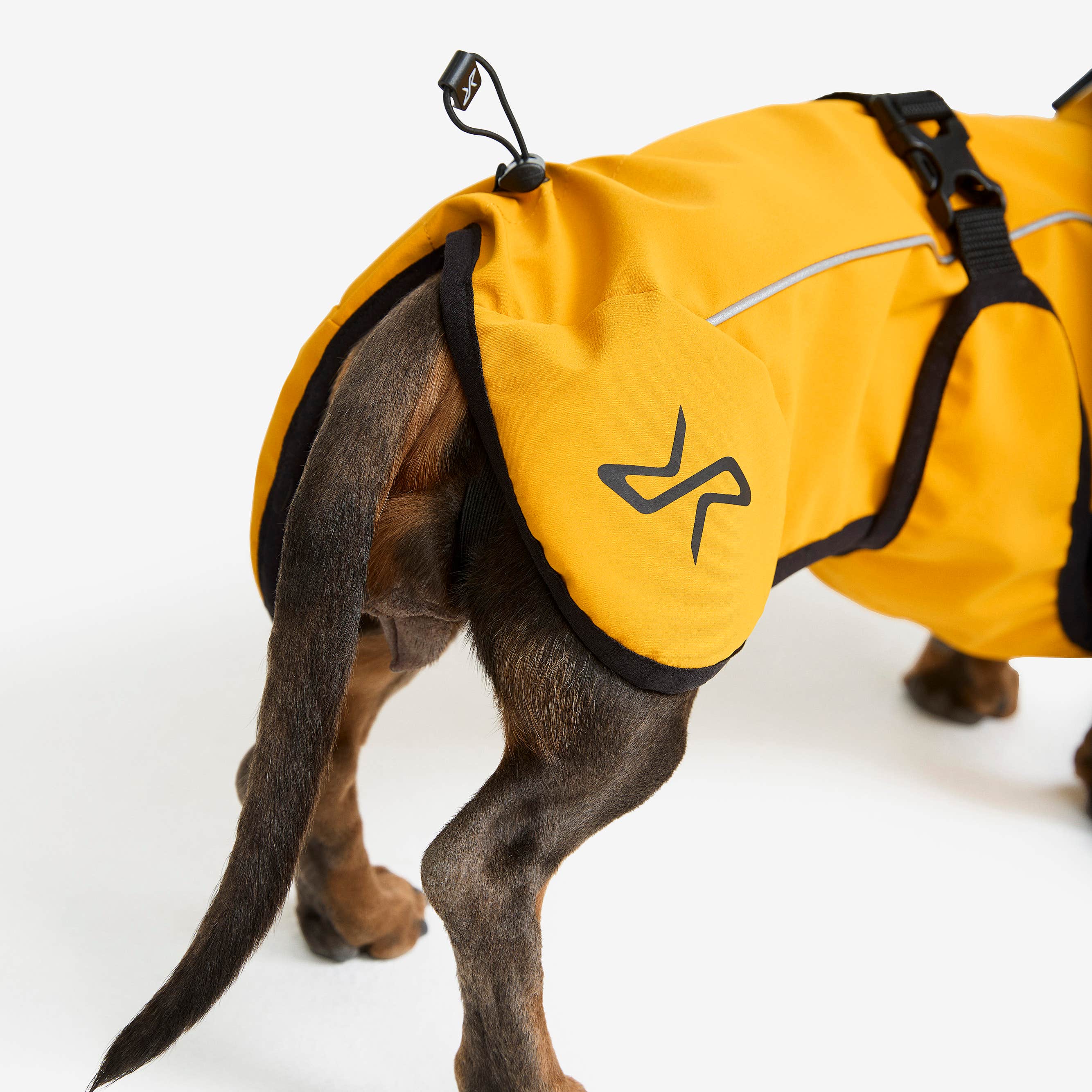 Cyclone Dog Jacket Hund Golden Yellow