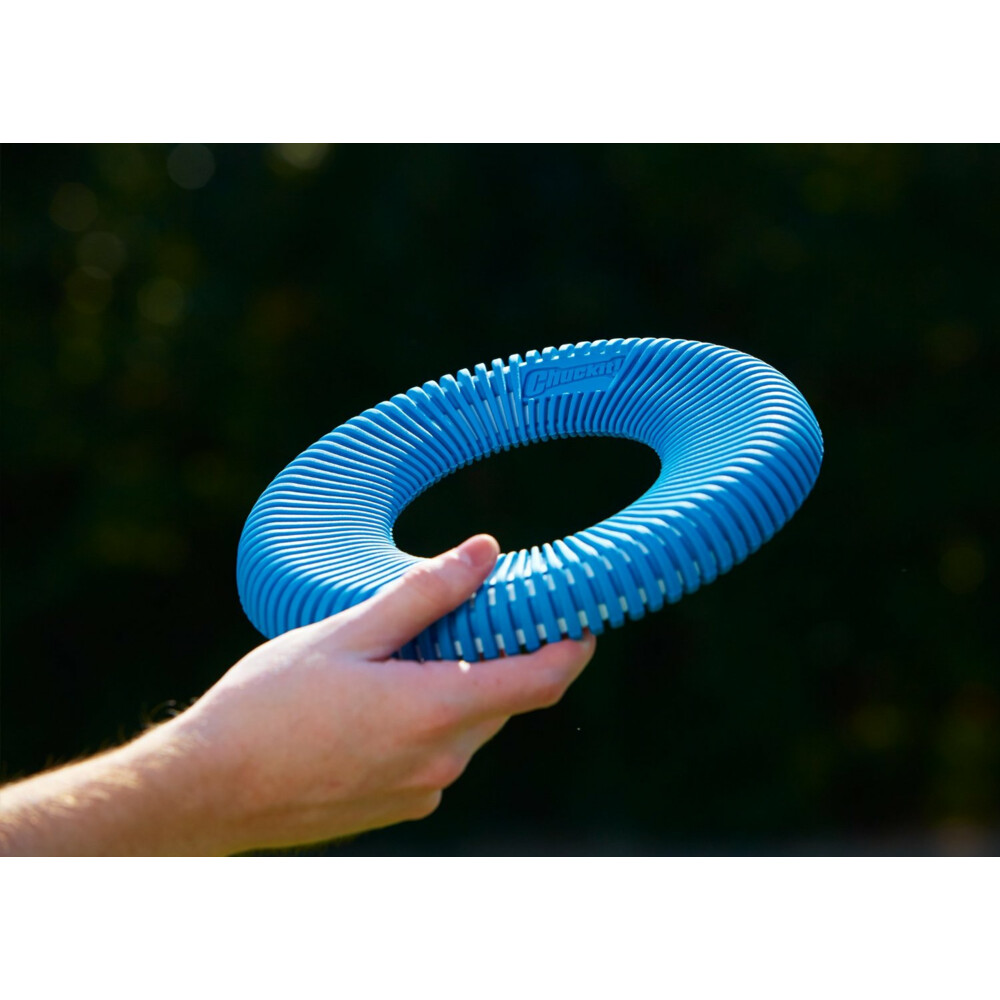 Chuckit Rugged Flyer Medium ø 24 cm