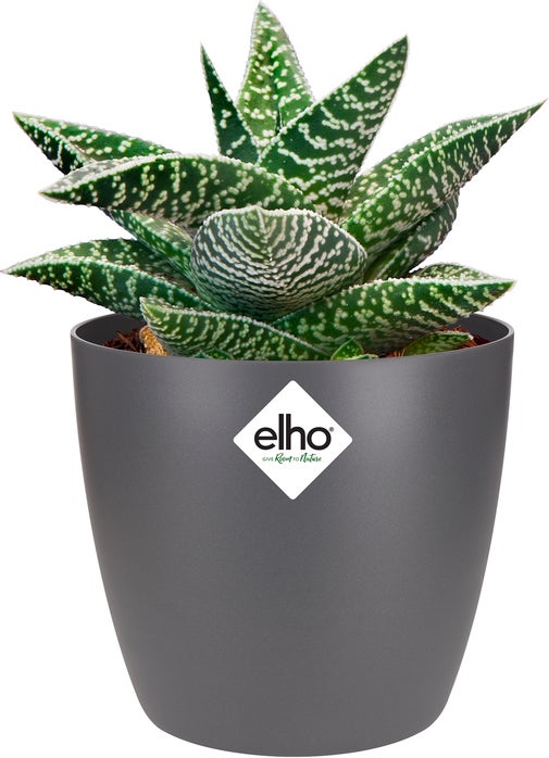 Elho bloempot Brussels antraciet D 10 H 8,9 cm