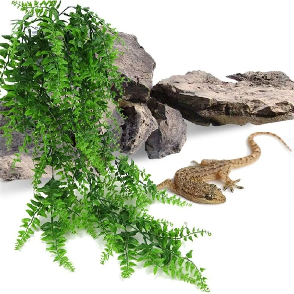 Universal Plantes Reptiles Suspendues