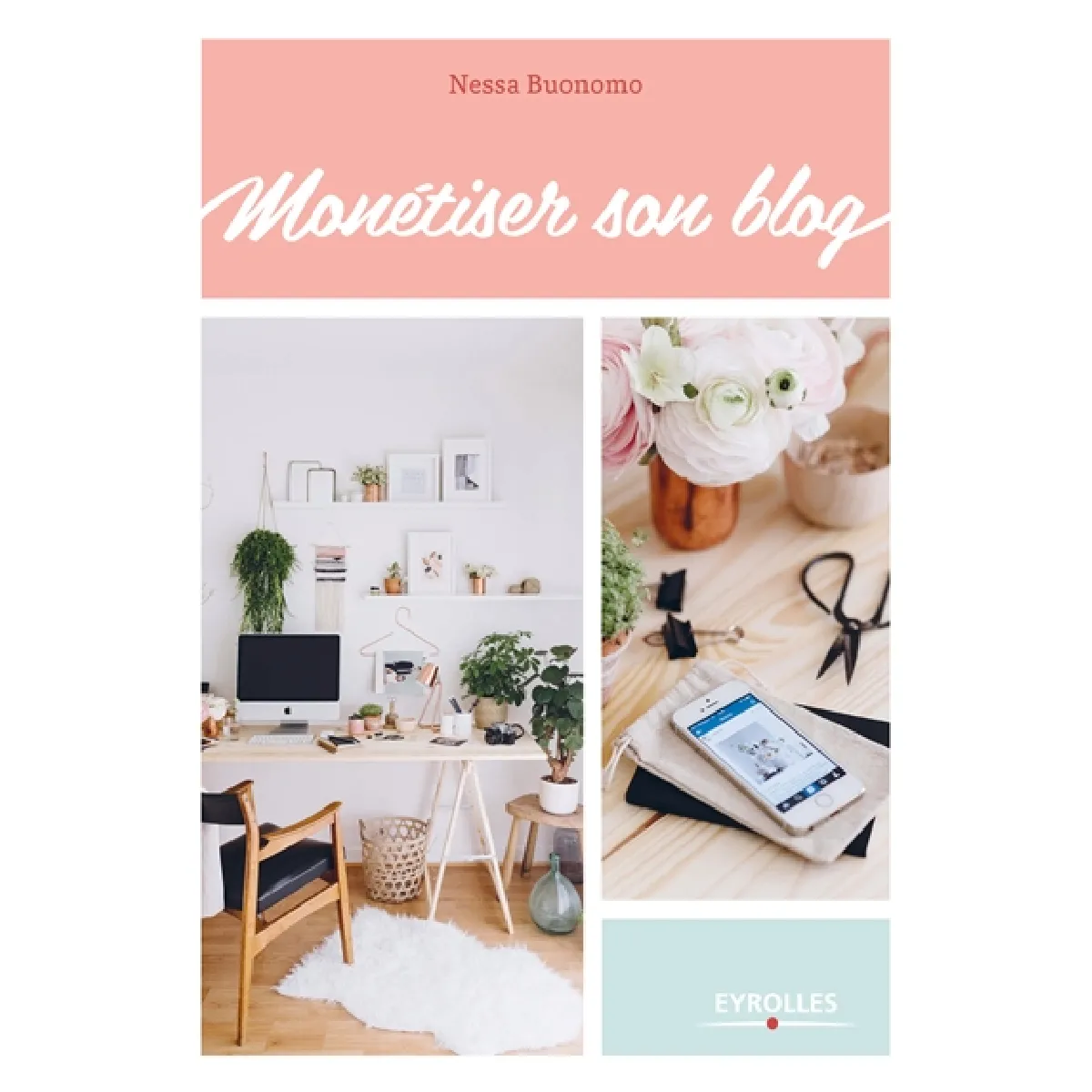 Monétiser son blog · Occasion