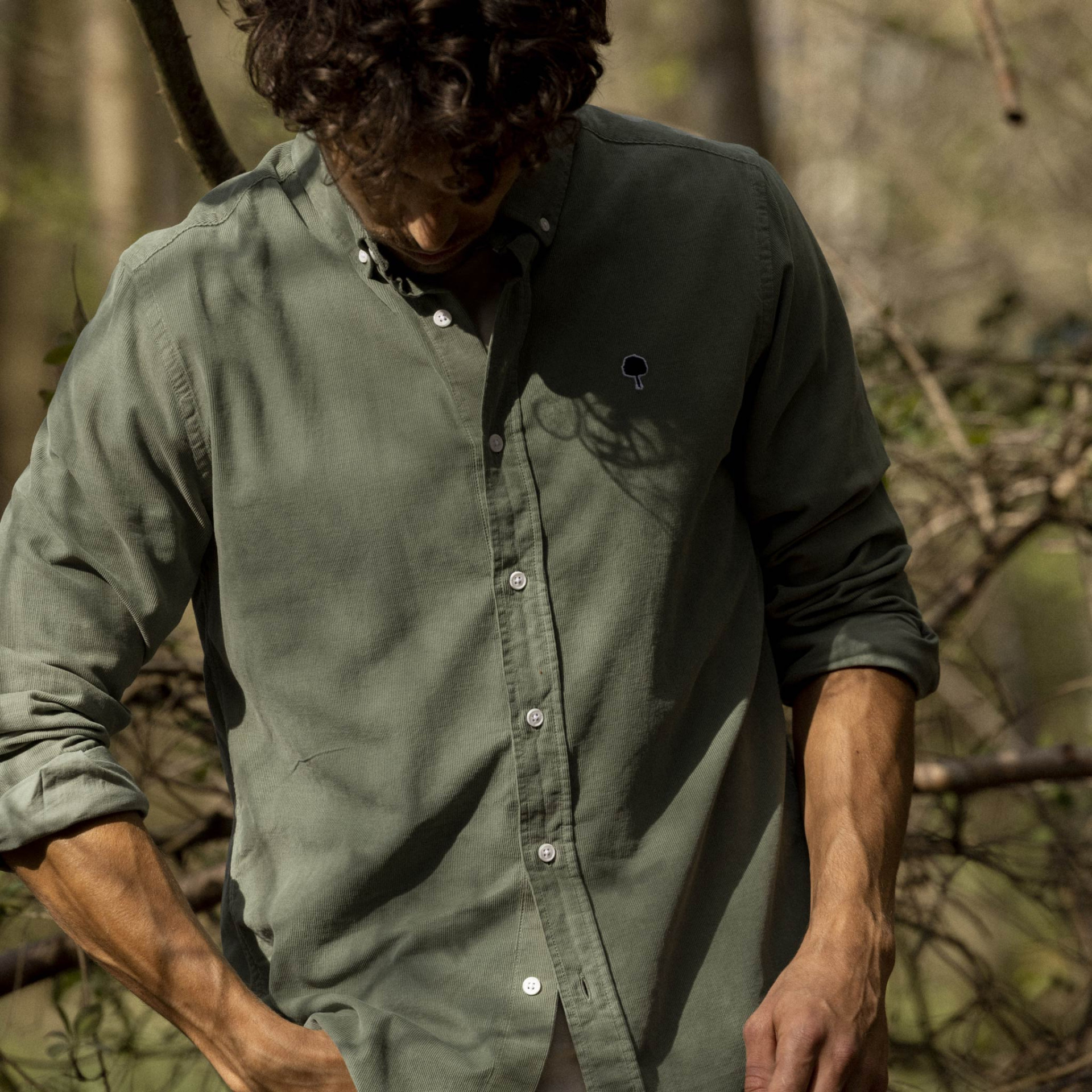 Chemise classique verte coton bio - modèle Ivoy