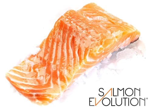 Salmon Evolution Lachs Filet mit Haut - ANTIBIOTIKA FREI