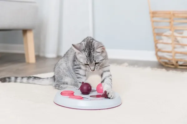 Trixie Cat Activity FlipBoard strategispil,ø23cm,berry/pink/lysegrå