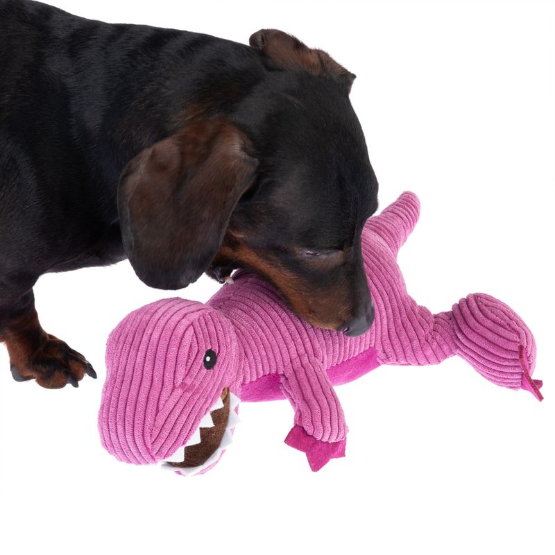 Jouet TIAKI T-Rex pour chien
