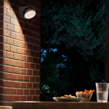 Philips wandlamp buiten Mimosa antraciet