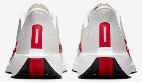 Pegasus Plus Herre 003/Platinum Tint/Phantom/Black/University Red