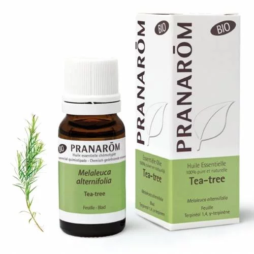 Huile essentielle Bio de Tea Tree - 10 ml