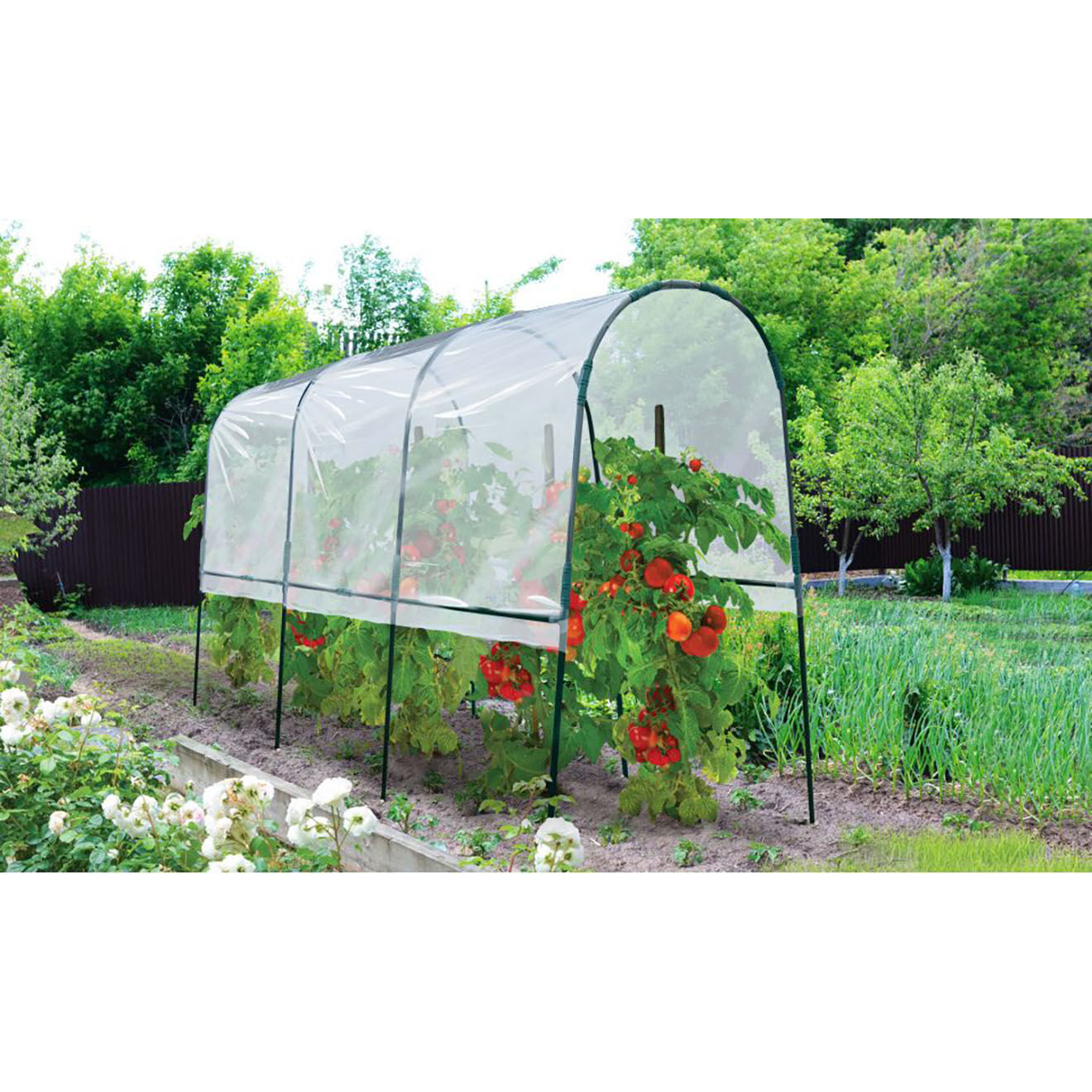 Pratik Garden Serre tomate 4m V2 vert/transparent - 400x120x170  cm