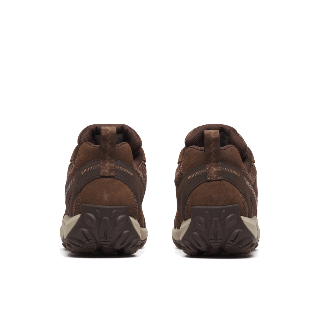 Accentor 3 Homem
