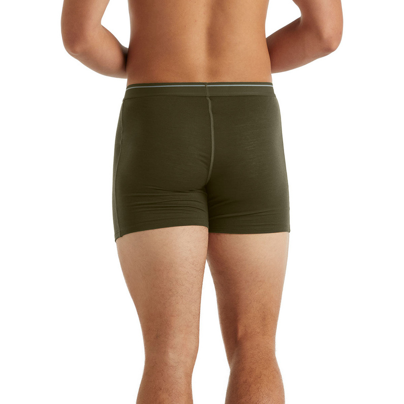 Icebreaker Herren Anatomica Weekdays Boxer