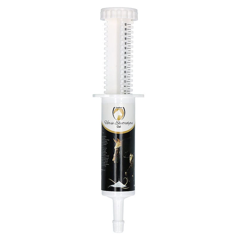 Horse Electrolytes Gel Injector | 10944