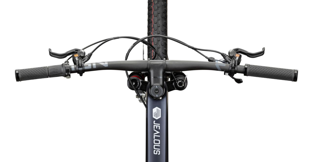 Radon Jealous 10.0 kaufen | Bike-Discount