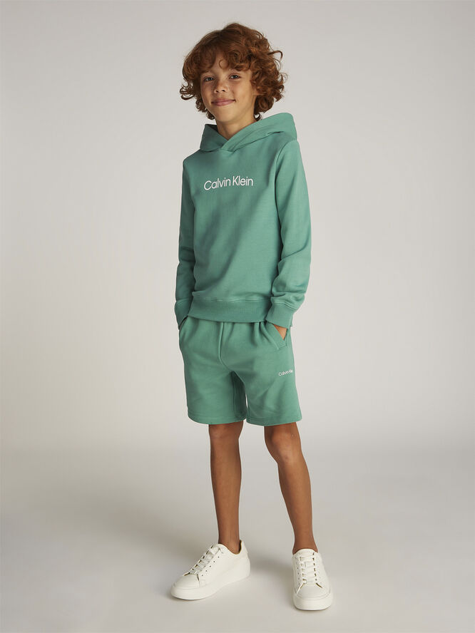 Calvin Klein INST. LOGO REG. TERRY HOODIE Bahama green