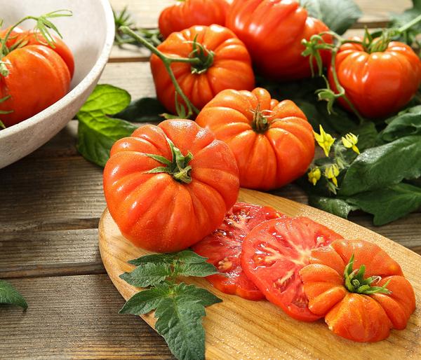 Dehner Gourmet Garten Riesen Steaktomate,