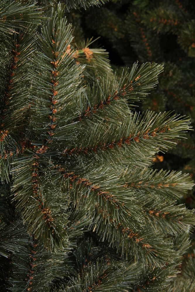 Triumph Tree Forest Frosted Pine Slim Fit - Kunstkerstboom - Blauw / Groen - 230 cm