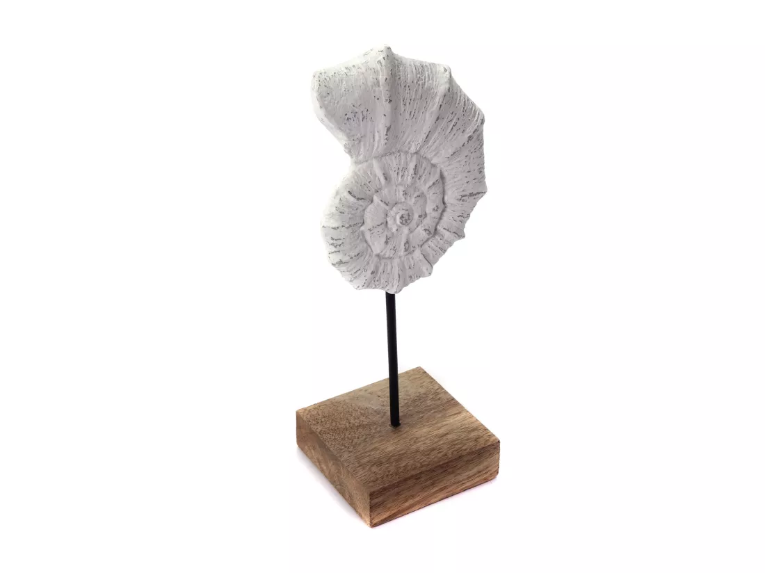 SCULPTURE Coquillage Socle en bois de mangue blanc-nature