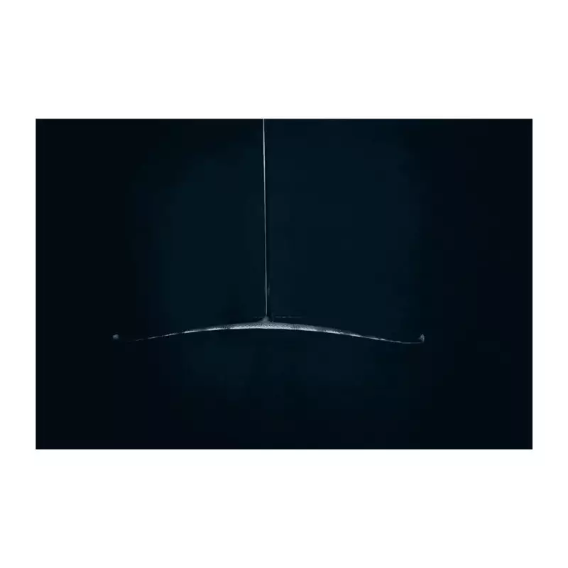 Foil de wing complet AFS Silk