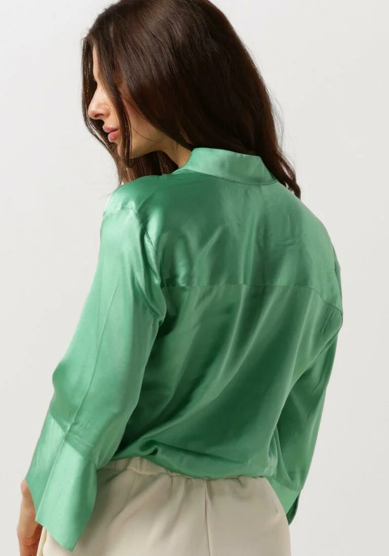 DEA KUDIBAL groene dea kudibal blouse lysanna