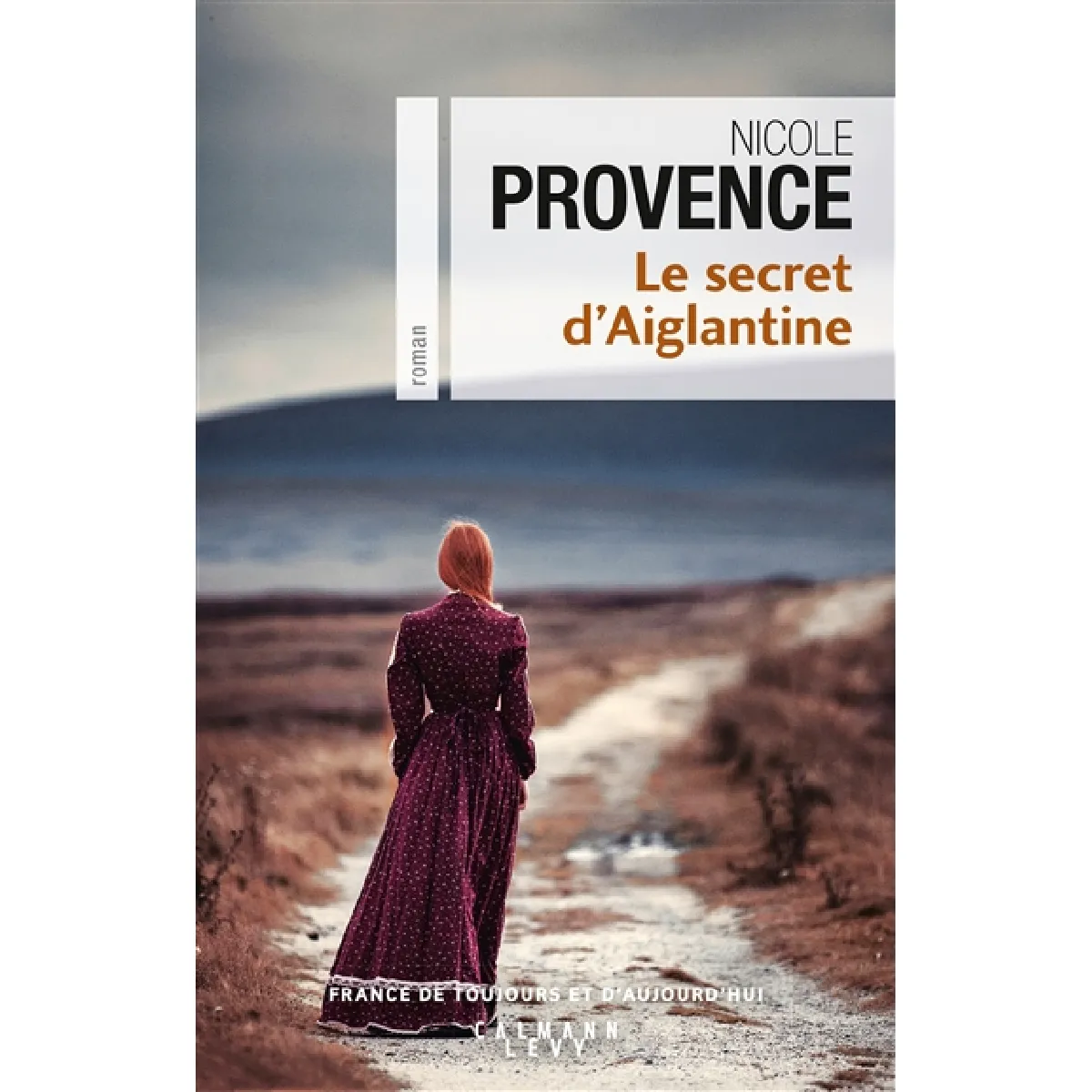 Le secret d'Aiglantine · Occasion
